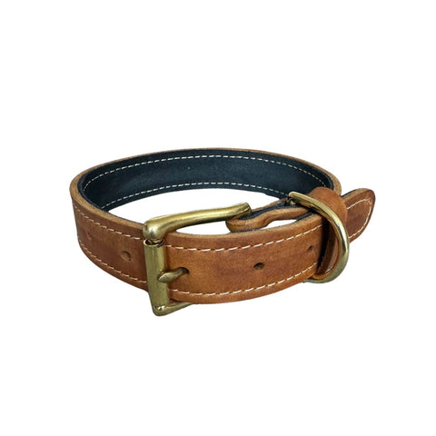 Tan Leather Collar 3cm Wide
