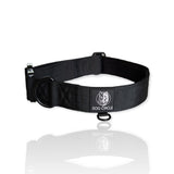Everyday Dog Collar 3.8cm/1.5" Wide - Various Colours/Size