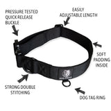 Everyday Dog Collar 3.8cm/1.5" Wide - Various Colours/Size