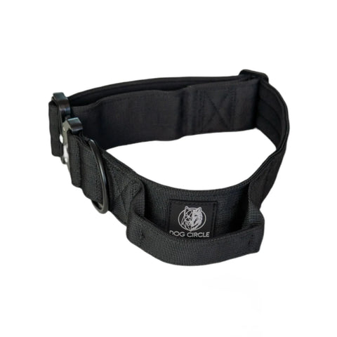 Everyday Dog Collar with Handle