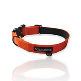 Everyday Dog Collar 2.5cm/1" Wide - Various Colours