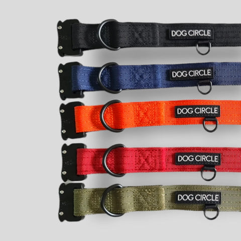 Everyday Dog Collar 2.5cm/1" Wide - Various Colours