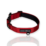 Everyday Dog Collar 2.5cm/1" Wide - Various Colours