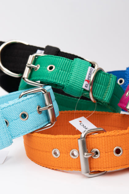 DOG COLLARS