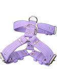 El Perro Colour Extra Strong Harnesses