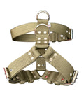 El Perro Colour Extra Strong Harnesses