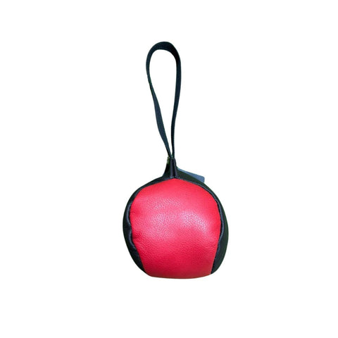 Dog Training Ball Leather