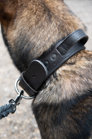 Pro Handle Leather Dog Collar 65/60cm